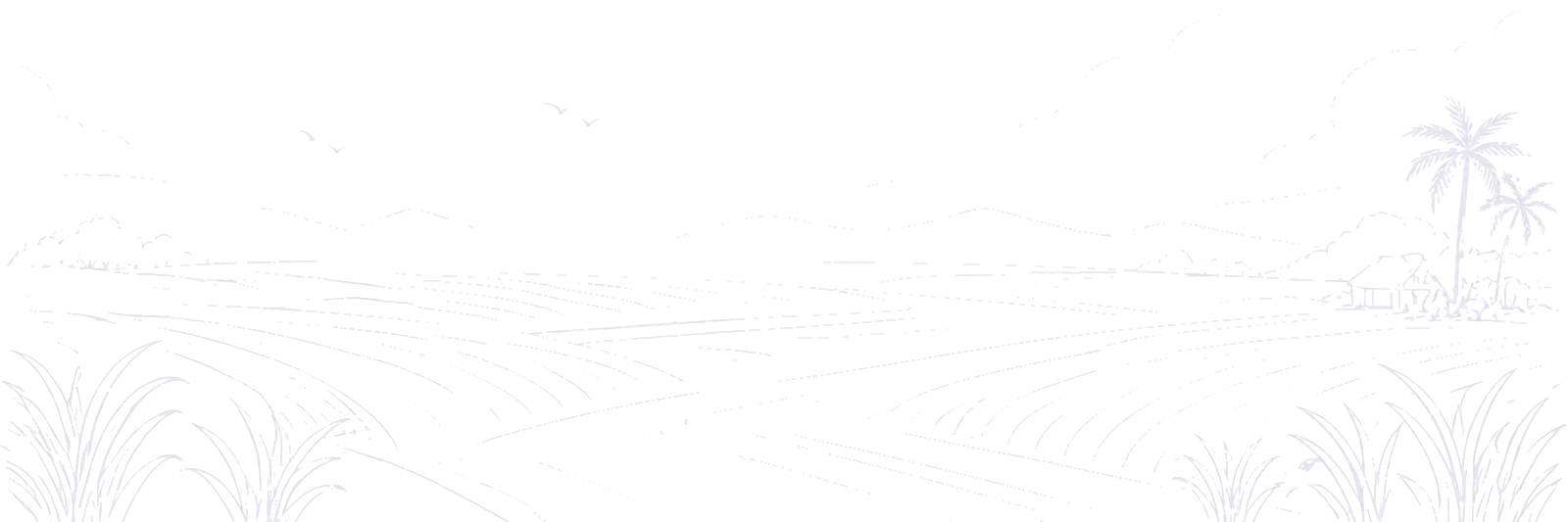 line-arts
