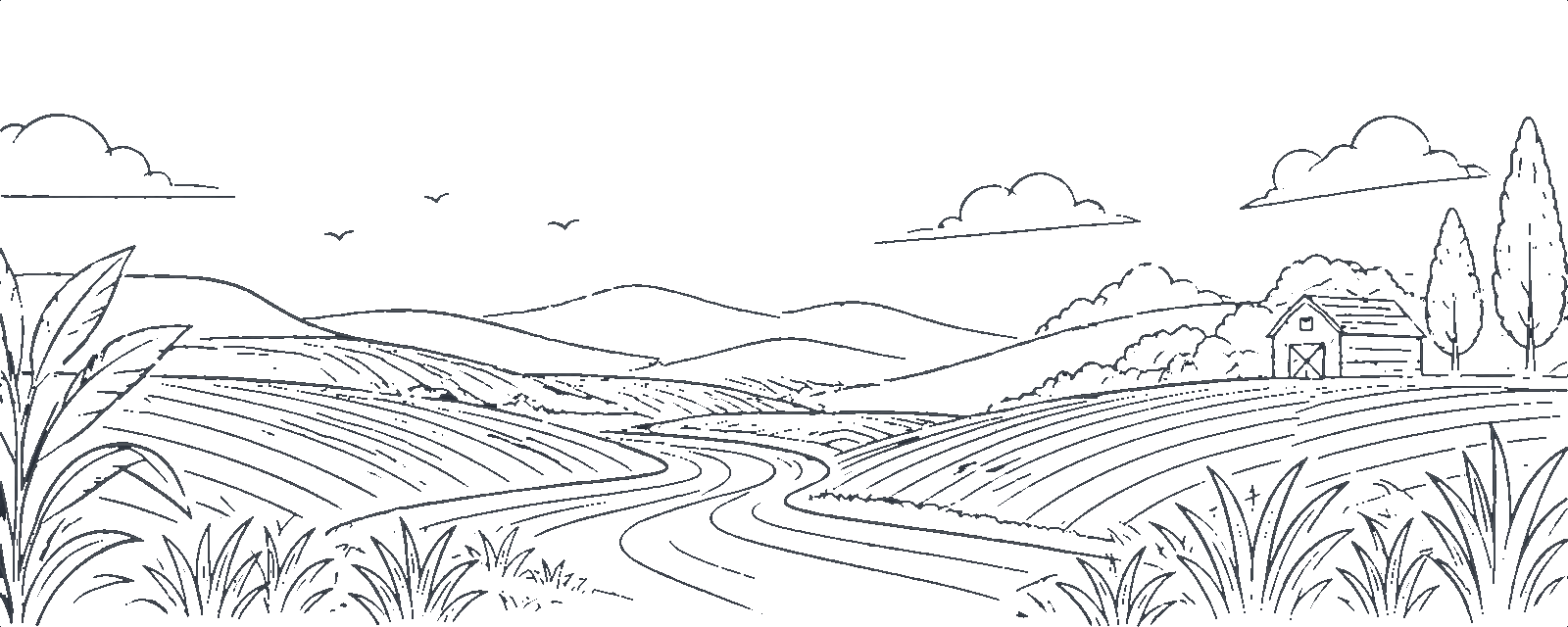 line-arts