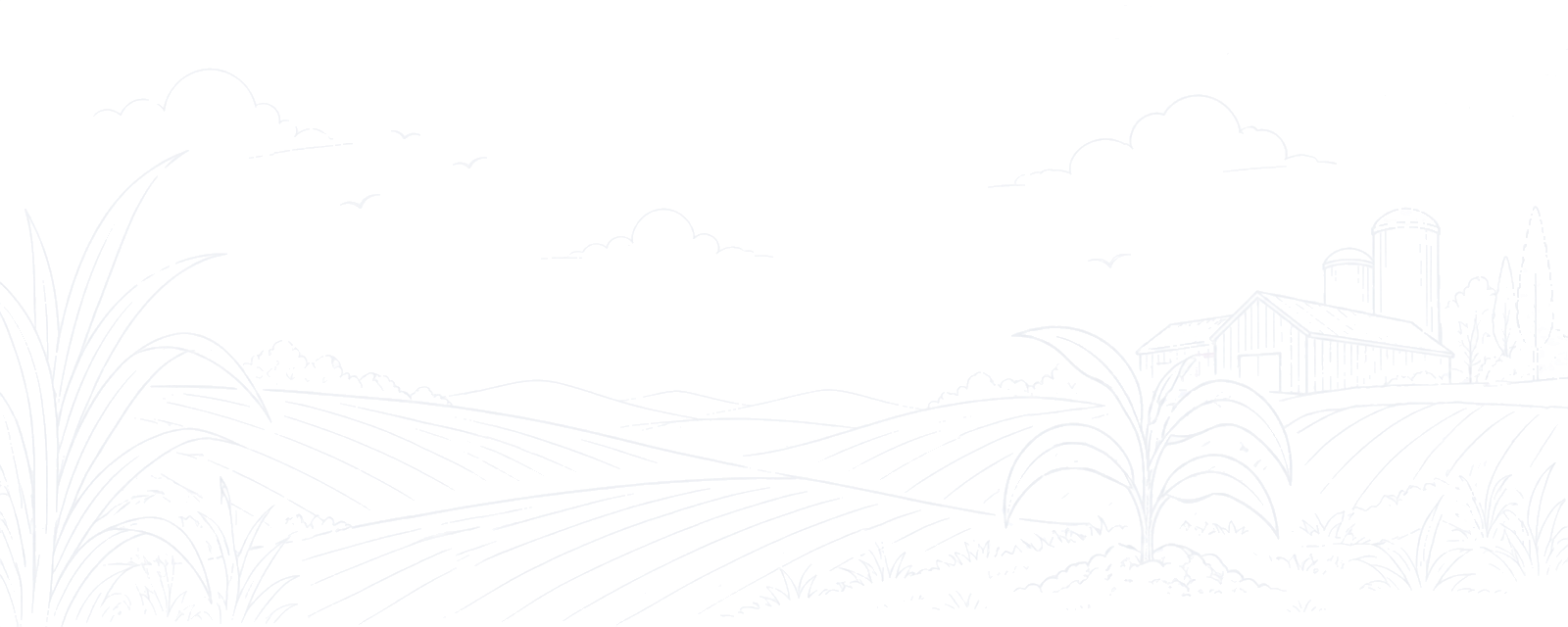 line-arts