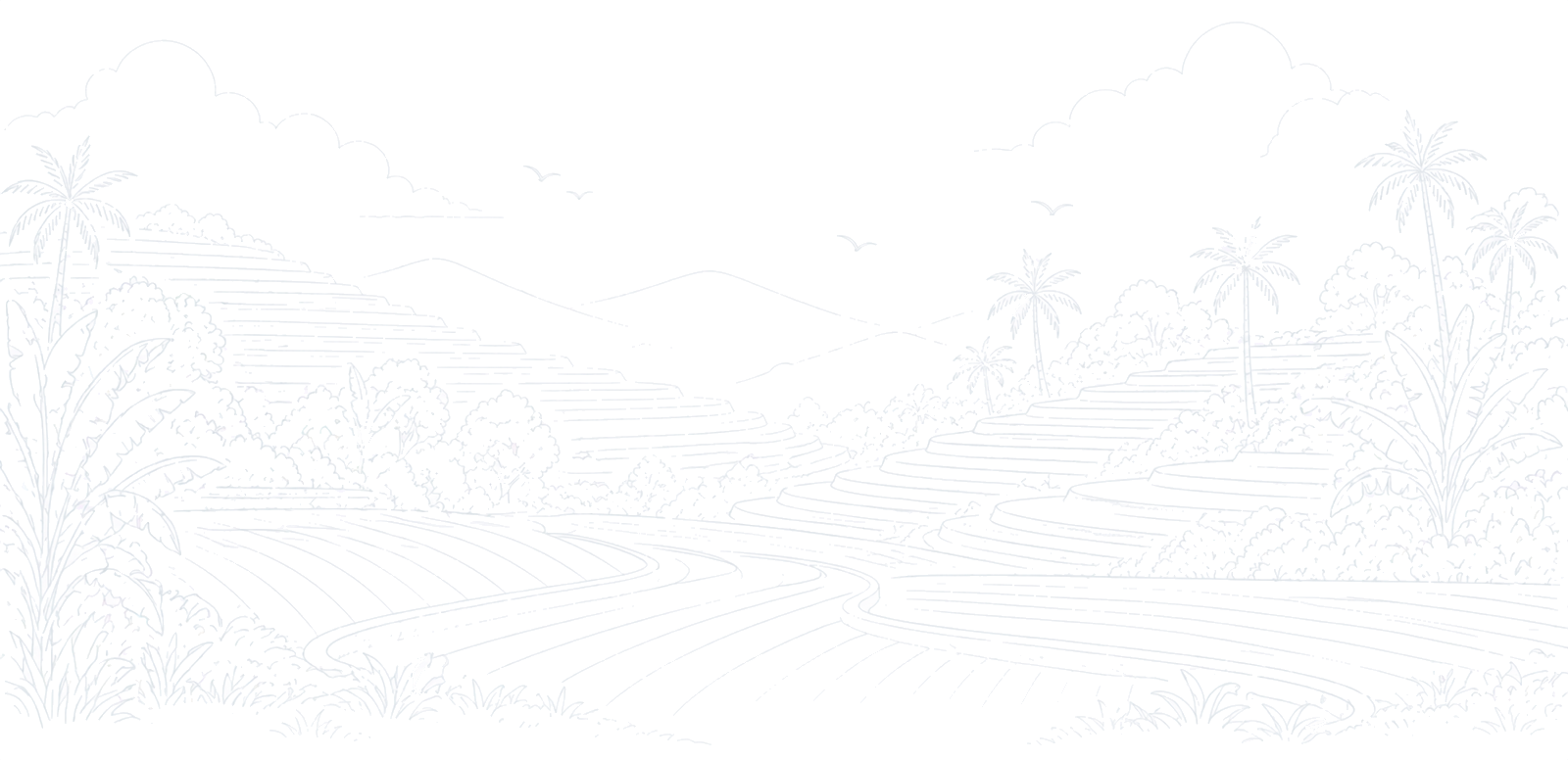 Section Background