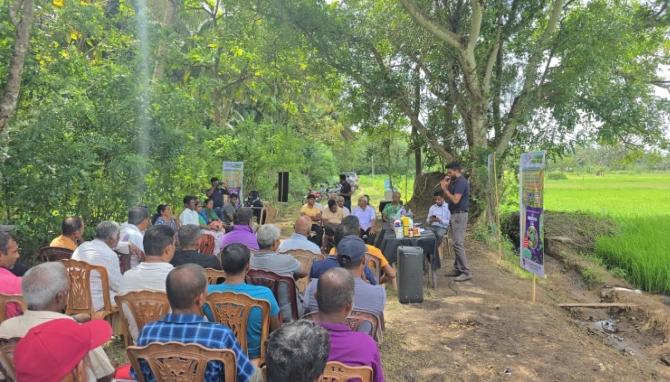 Triple 15 Fertilizer Promotion Program