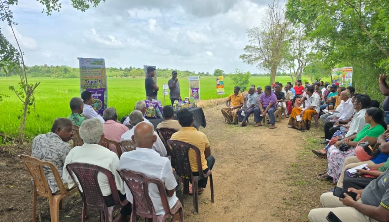 Triple 15 Fertilizer Promotion Program - image 1