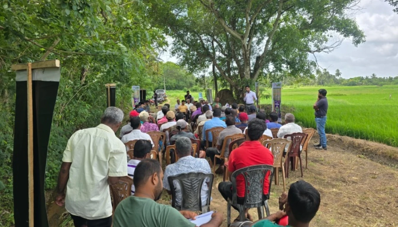 Triple 15 Fertilizer Promotion Program - image 2