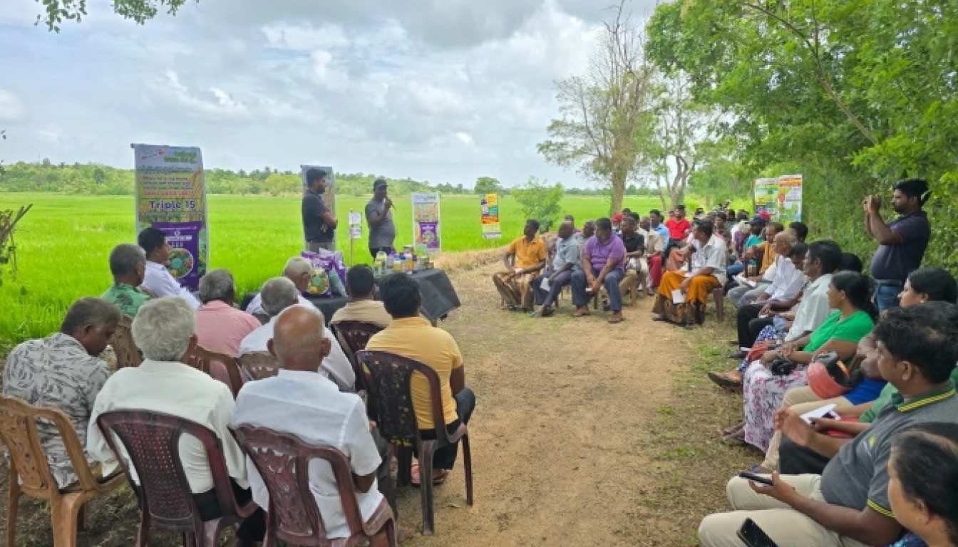 Triple 15 Fertilizer Promotion Program - image 3