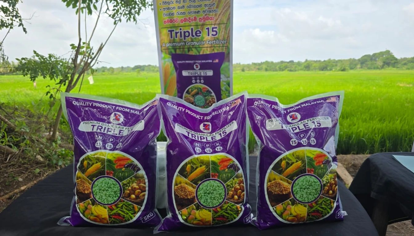 Triple 15 Fertilizer Promotion Program - image 4